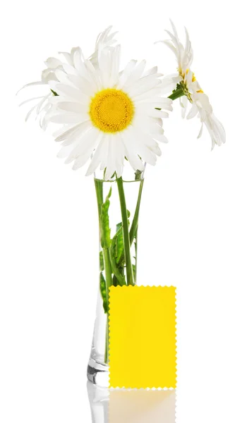 Bouquet of camomiles in a vase and a yellow card for the message — Stock Photo, Image