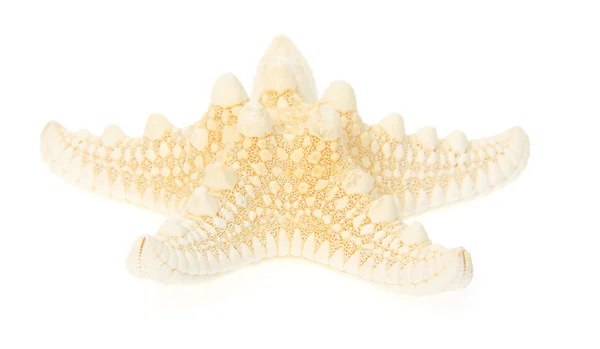 Yellow starfish close up isolated on white — Stock Photo, Image