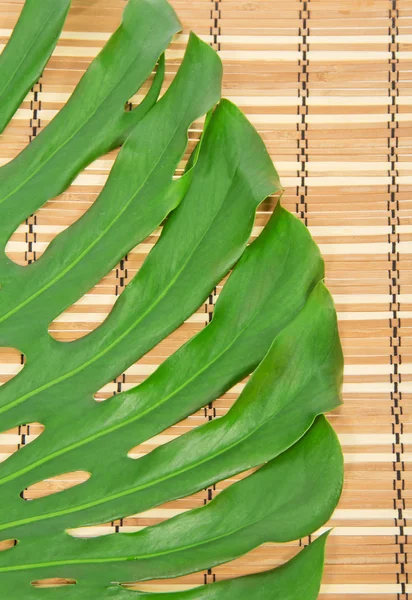 Green leaf close up on a bamboo napkin — Stock Photo, Image
