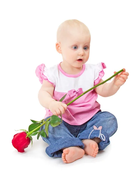 The beautiful little girl in pink jacket and blue jeans with red rose in hands. Isolated on white — Stock Photo, Image