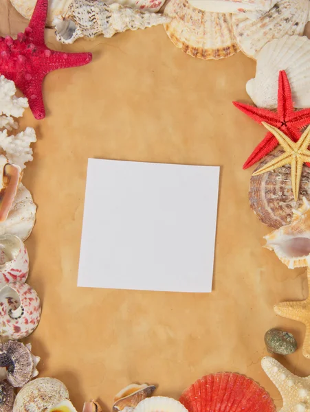 Frame van zeesterren en cockleshells met lege kaart op oud papier — Stockfoto