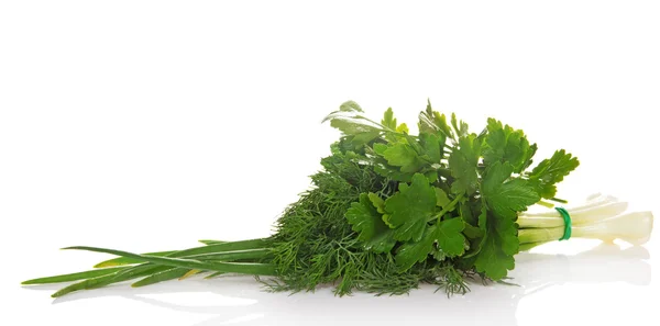 Green onions, parsley and the dill — Stock Photo, Image