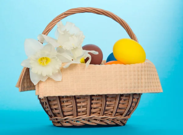 Narcisses blanches et œufs de Pâques dans un panier avec une serviette, sur un fond bleu — Photo