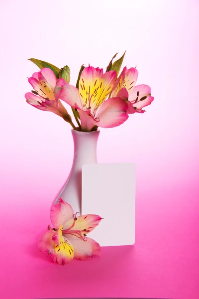 Pink alstroemeria in a vase and an empty card on the pink — Stock Photo, Image