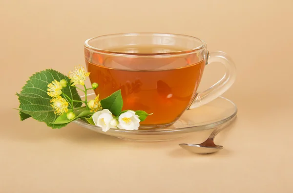 Šálek čaje, linden a jasmín květy, na béžové pozadí — Stock fotografie