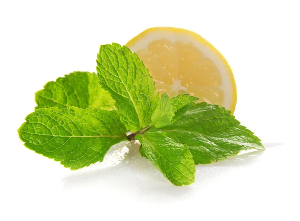 Slice of a lemon and mint in drops the waters — Stock Photo, Image