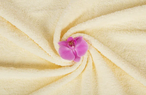 Beautifully put fluffy towel with an orchid flower — Stock Photo, Image