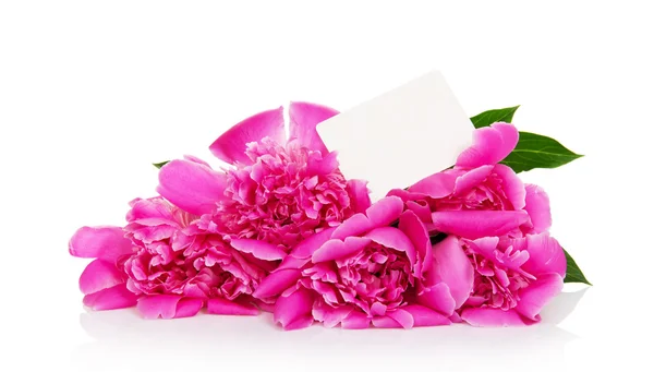 Csokor rózsaszín pünkösdi rózsa, és a kártya az üzenet — Stock Fotó