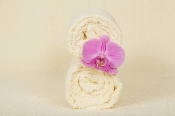 Las toallas un rollo decorado con una flor de una orquídea sobre un paño de rizo —  Fotos de Stock