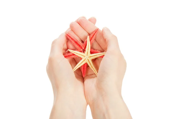 Colourful starfishes in the hands, isolated on white — Stock Photo, Image