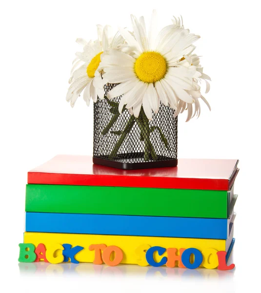Unterstützung mit Kamille auf einem Bücherstapel, isoliert auf weiß — Stockfoto