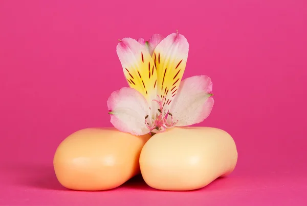 Bela flor de uma alstroemeria e duas partes do sabão — Fotografia de Stock