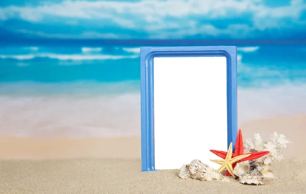 Frame, sea cockleshells and coral on the sandy coast — Stock Photo, Image