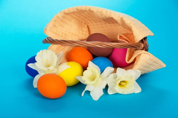 De Pasen eieren die zijn gedaald uit een mand en witte bloemen op een blauwe achtergrond — Stockfoto