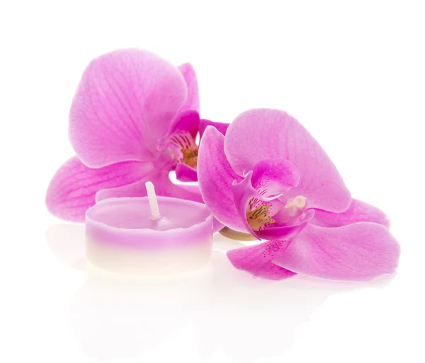 Orchideeën en de aromatische kaarsen geïsoleerd op wit — Stockfoto