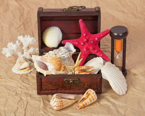Sea shells, cockleshells, starfishes in a chest and hourglasses on old paper