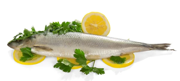 Herring on slices of a lemon and parsley — Stock Photo, Image