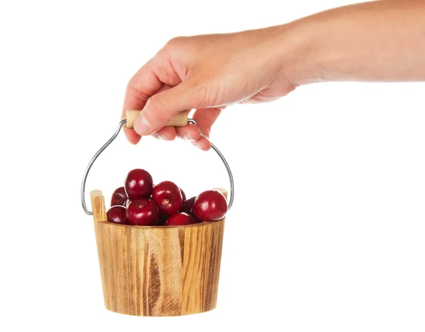 Cubo de madera con cerezas dulces en una mano femenina — Foto de Stock