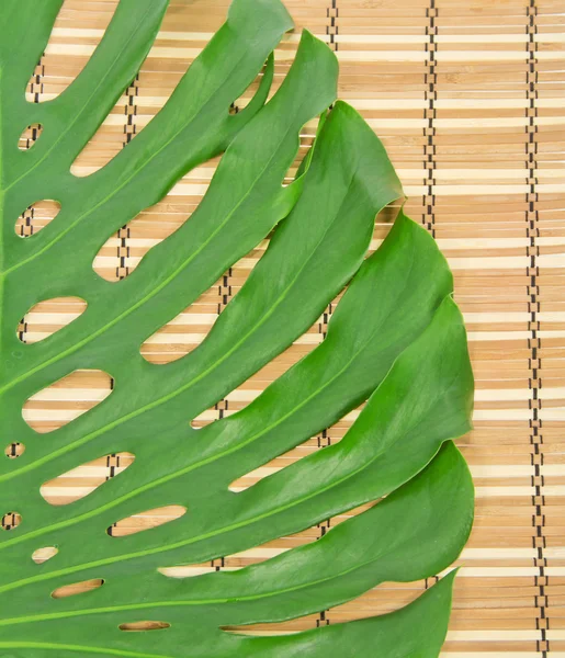 Зелений лист крупним планом на бамбуковій серветці — стокове фото