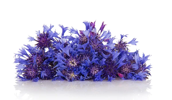 Cornflower bouquet — Stock Photo, Image