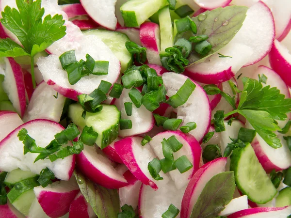 Salad from a radish and cucumbers with greens, a closeup — Stock Photo, Image