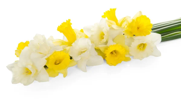 Ramo de narcisos blancos y amarillos frescos, aislado sobre blanco —  Fotos de Stock