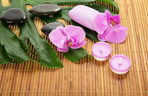 Feuille de Monstera, orchidée et ensemble aromatique sur un tissu de bambou — Photo