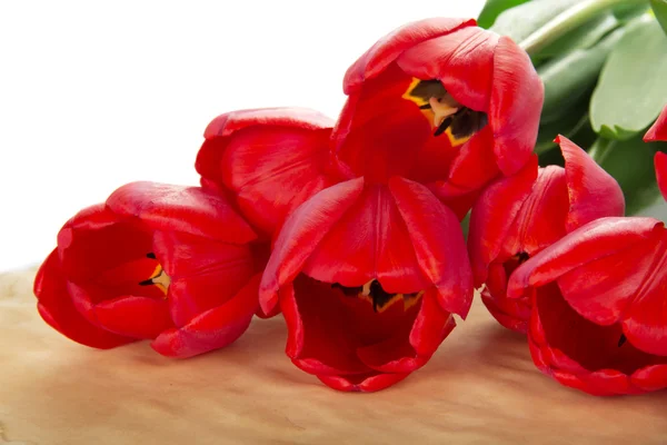 Bright bouquet of red tulips on the paper, isolated on the white — Stock Photo, Image