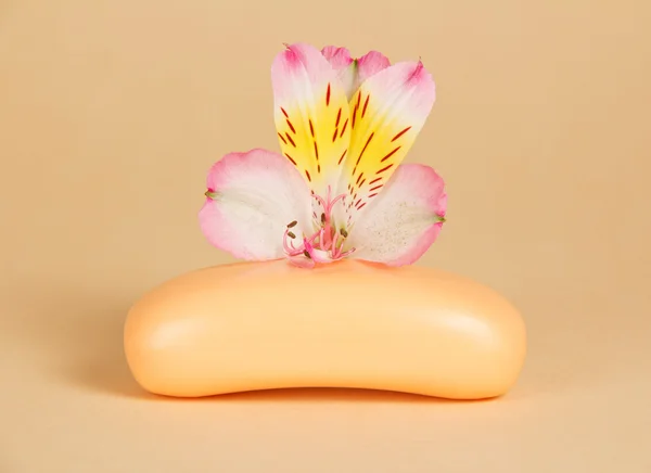 De bloem op een beige achtergrond en geurige toilet-zeep — Stockfoto