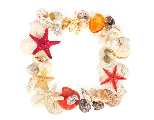 Marco de conchas de mar y las estrellas, aislado en blanco —  Fotos de Stock