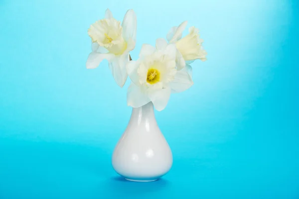 Bouquet aus zarten, frühlingshaften, weißen Narzissen in einer Keramikvase, auf blauem Hintergrund — Stockfoto