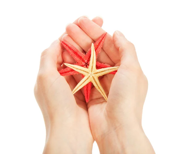 Цветные морские звезды в руках, изолированные на белом — стоковое фото