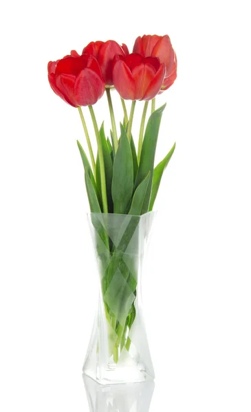 Hermosos tulipanes rojos en un jarrón, aislados en blanco — Foto de Stock