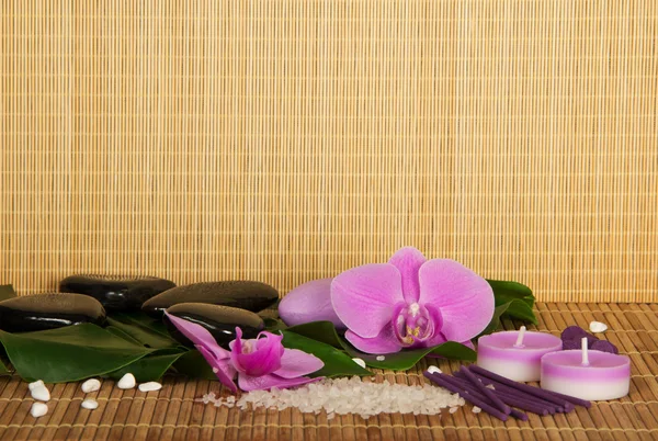 蘭と竹布の上のスパのためのセットの花。ベージュ色の背景 — ストック写真