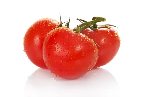 Rode rijpe tomaten met druppels — Stockfoto