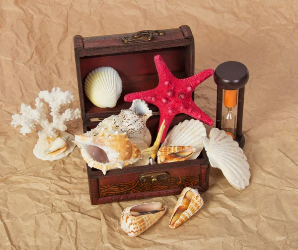 Sea shells, cockleshells, starfishes in a chest and hourglasses on old paper — Stock Photo, Image