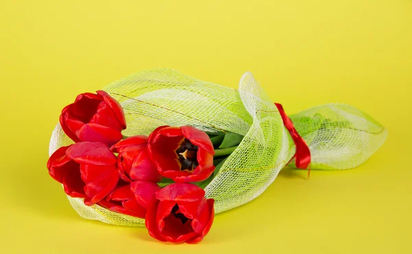 El ramo de tulipanes rojos está decorado con una gasa y una cinta sobre un fondo amarillo —  Fotos de Stock