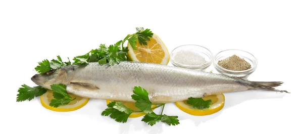 Sill på citronskivor, salt krydda och persilja isolerad på vit — Stockfoto