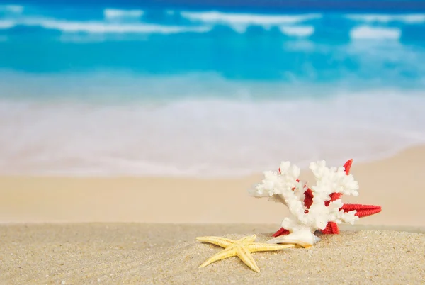 Starfishes a korálovém písku proti moři — Stock fotografie