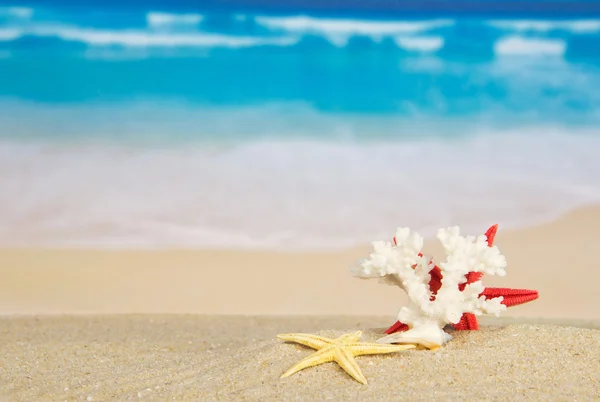 Starfishes and coral on sand against the sea — Stock Photo, Image