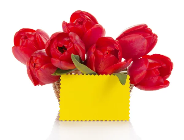 Buquê de tulipas vermelhas em uma cesta e um cartão vazio para o texto, isolado em branco — Fotografia de Stock