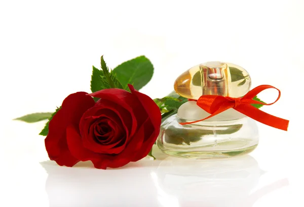 Pączek z czerwoną różą i butelki perfum z czerwoną wstążką, na białym tle płatki — Zdjęcie stockowe