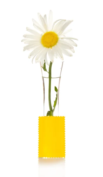 Bouquet of camomiles in a vase and a yellow card for the message — Stock Photo, Image