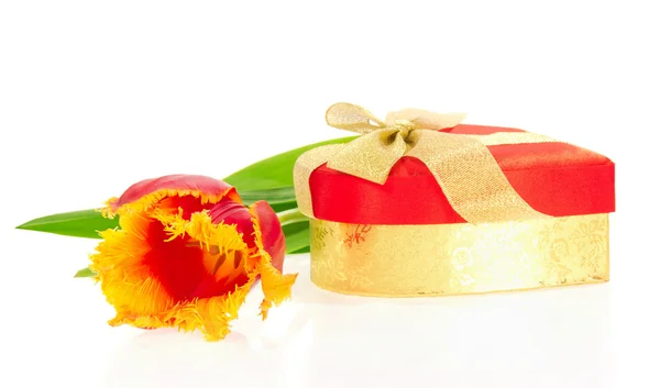 郁金香，礼品盒的心 — 图库照片