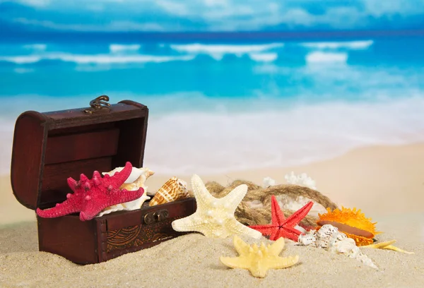 Chest with sea cockleshells and stars on sea sand — Stock Photo, Image