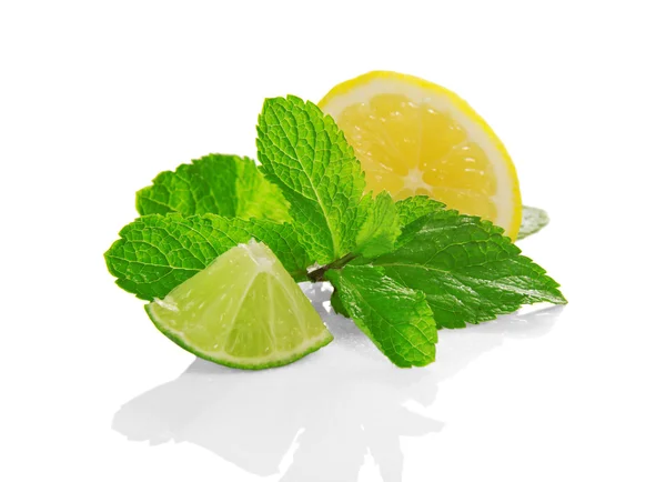 Lemon slice, slice of a lime and mint in drops the waters — Stock Photo, Image