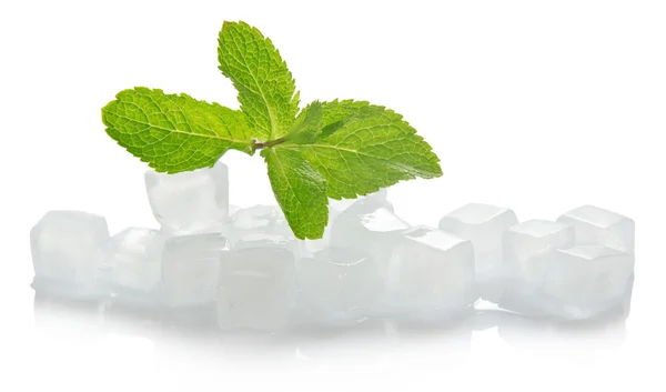 Hielo para cóctel y las hojas de menta, aisladas en blanco — Foto de Stock