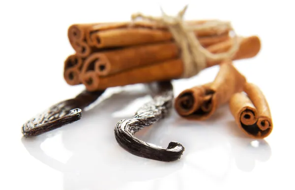 Fragrant cinnamon and the bitter vanilla isolated on white — Stock Photo, Image