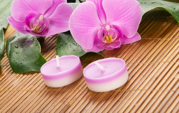 Foglia di un monstera, un'orchidea, una candela su una stoffa di bambù — Foto Stock