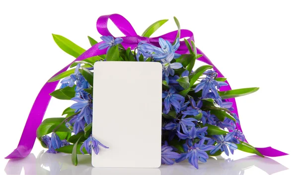 Buquê suave de squills azuis com uma fita e um cartão, isolado em branco — Fotografia de Stock